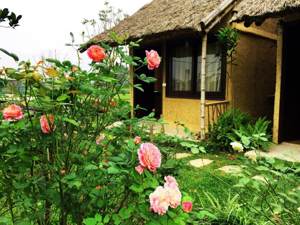 May Homestay - Tam Coc Local Village Ninh Binh Exterior photo