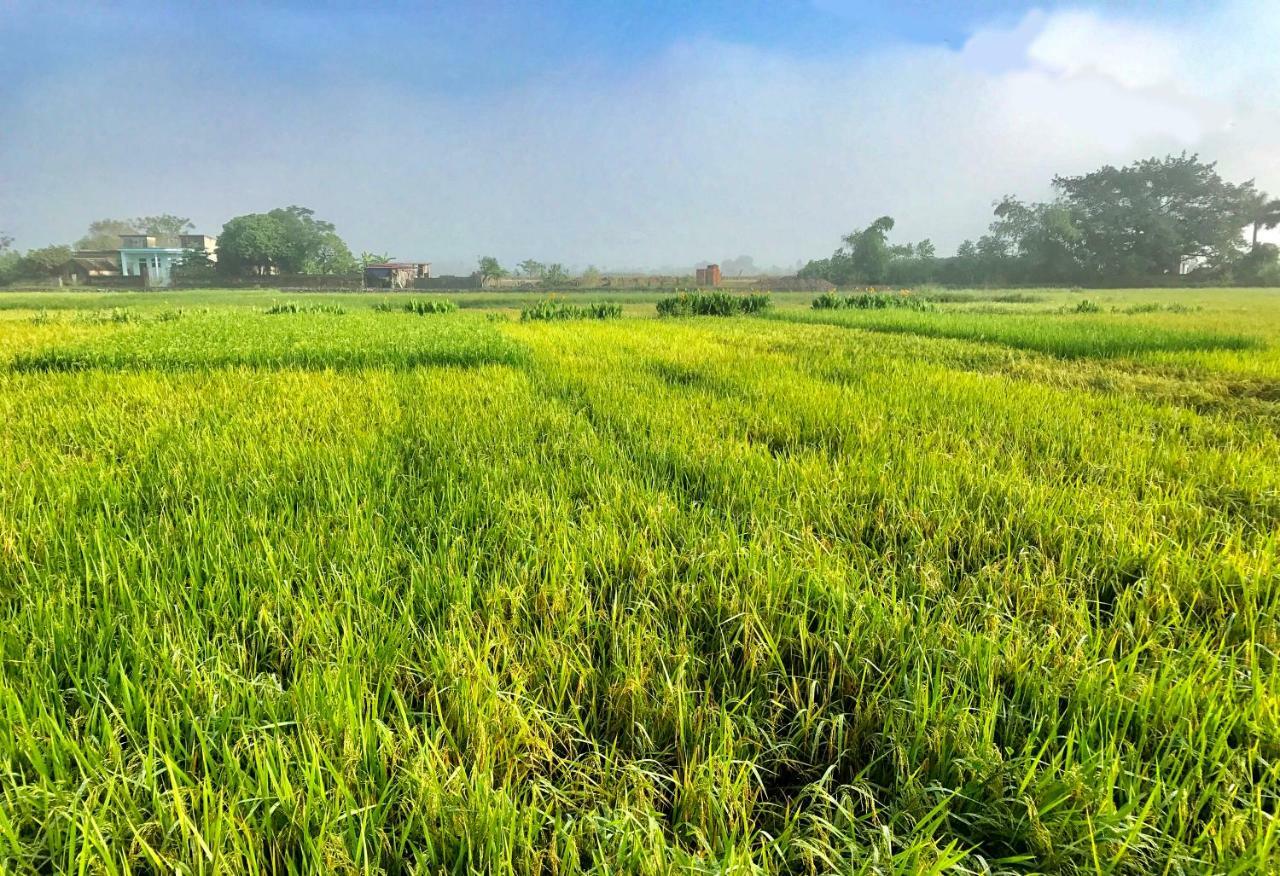 May Homestay - Tam Coc Local Village Ninh Binh Exterior photo