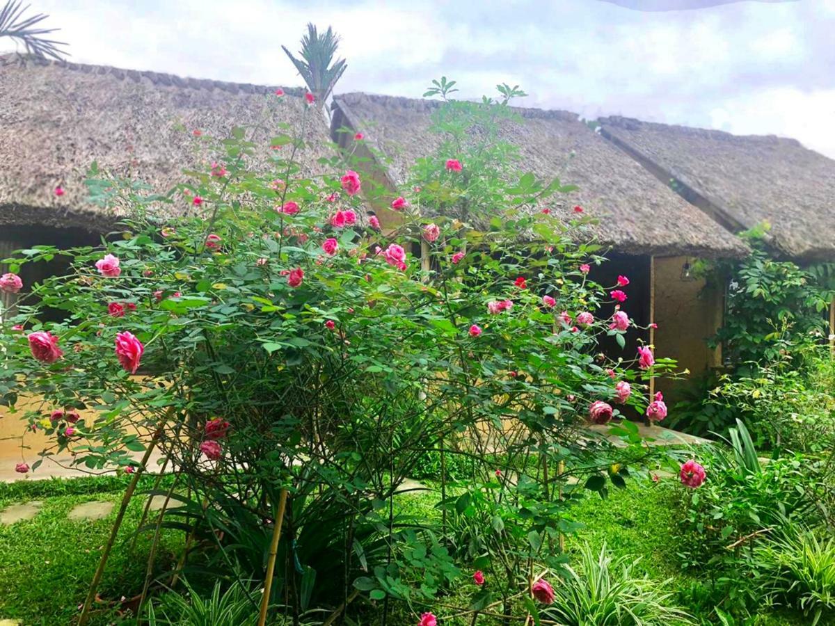 May Homestay - Tam Coc Local Village Ninh Binh Exterior photo